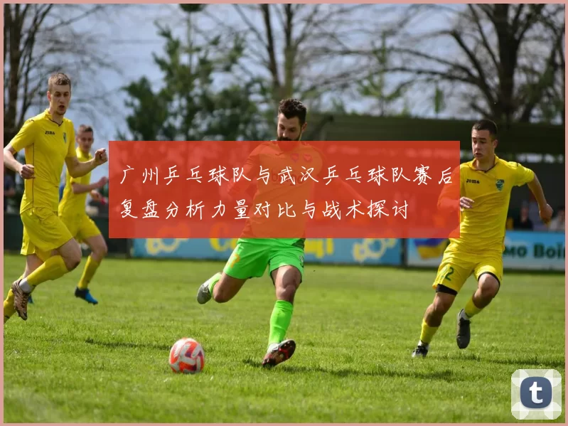 广州乒乓球队与武汉乒乓球队赛后复盘分析力量对比与战术探讨