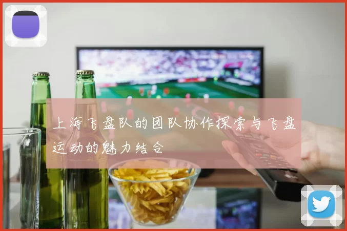 上海飞盘队的团队协作探索与飞盘运动的魅力结合