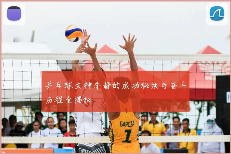 乒乓球女神李静的成功秘诀与奋斗历程全揭秘
