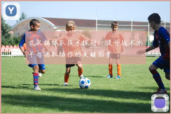 武汉排球队技术探讨：提升战术水平与团队协作的关键因素