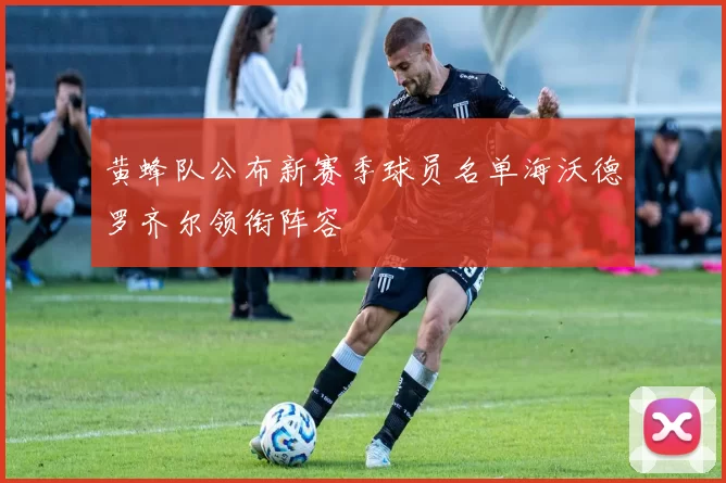黄蜂队公布新赛季球员名单海沃德罗齐尔领衔阵容