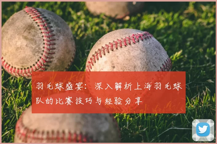 羽毛球盛宴:深入解析上海羽毛球队的比赛技巧与经验分享