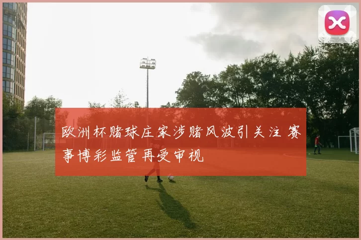 欧洲杯赌球庄家涉赌风波引关注 赛事博彩监管再受审视