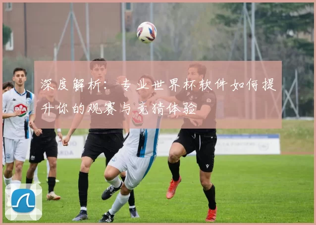 深度解析:专业世界杯软件如何提升你的观赛与竞猜体验