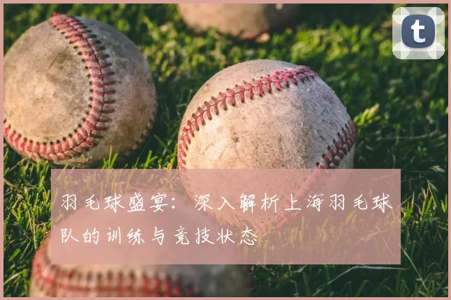羽毛球盛宴:深入解析上海羽毛球队的训练与竞技状态