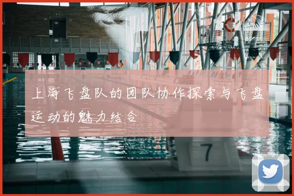 上海飞盘队的团队协作探索与飞盘运动的魅力结合