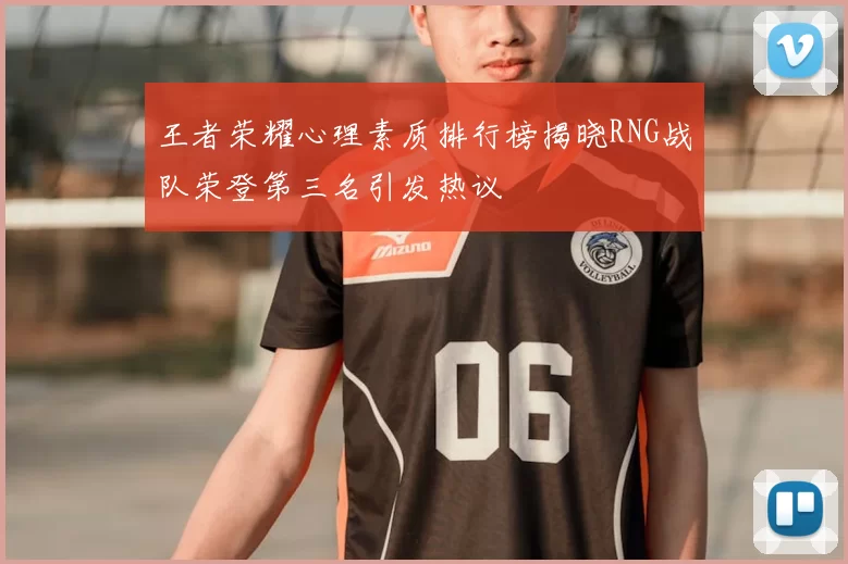 王者荣耀心理素质排行榜揭晓RNG战队荣登第三名引发热议