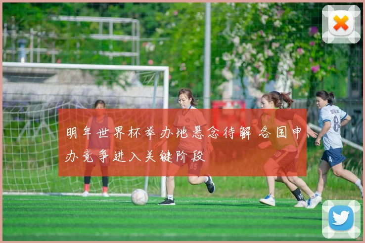明年世界杯举办地悬念待解 各国申办竞争进入关键阶段